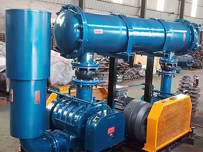 雙極串聯高壓羅茨鼓風機圖片2