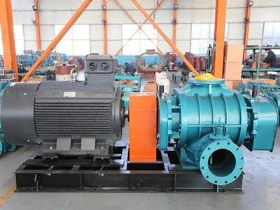 羅茨鼓風(fēng)機(jī) 羅茨鼓風(fēng)機(jī)